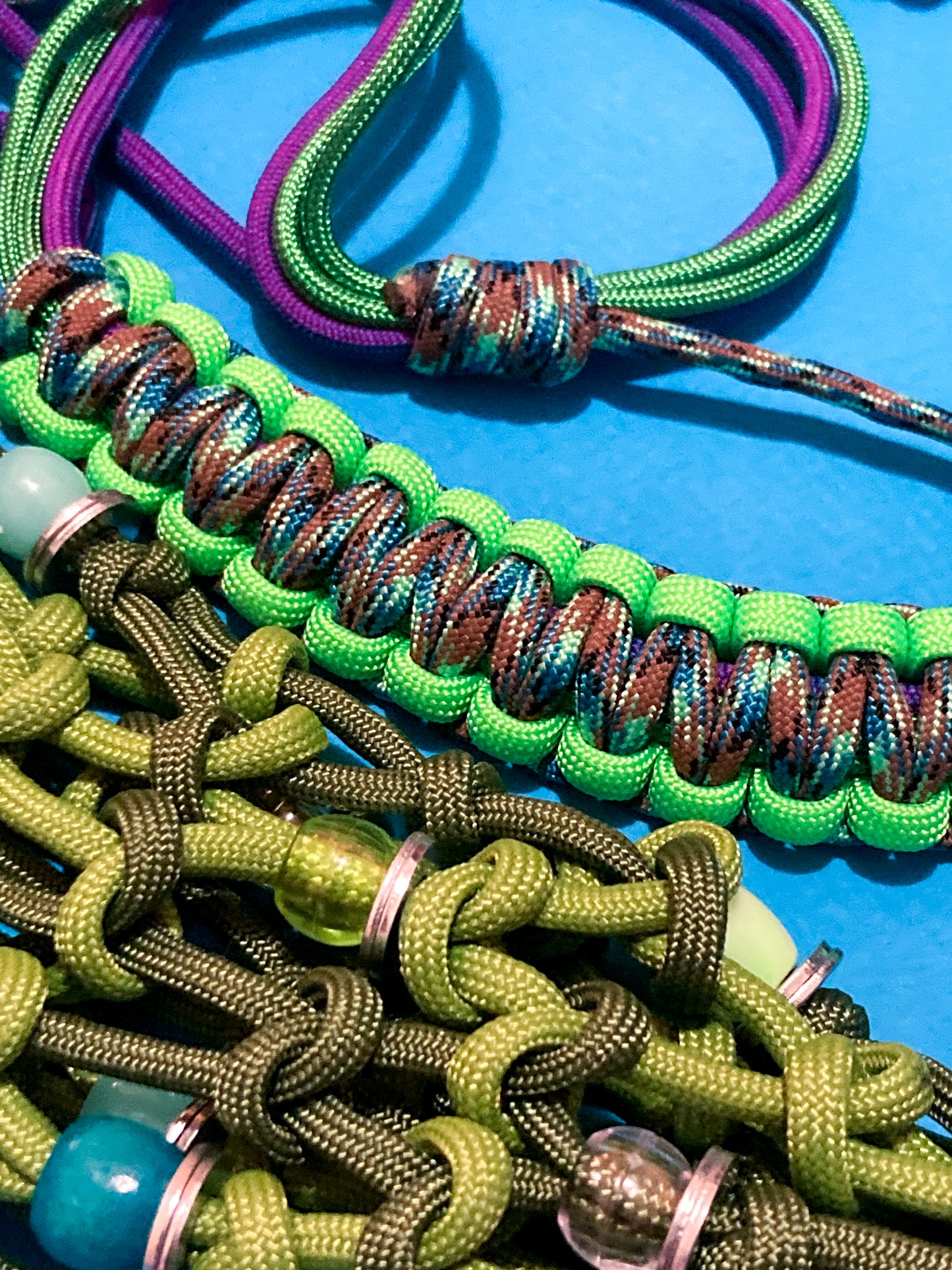 Caméléon SPECIAL PROMO 🦎