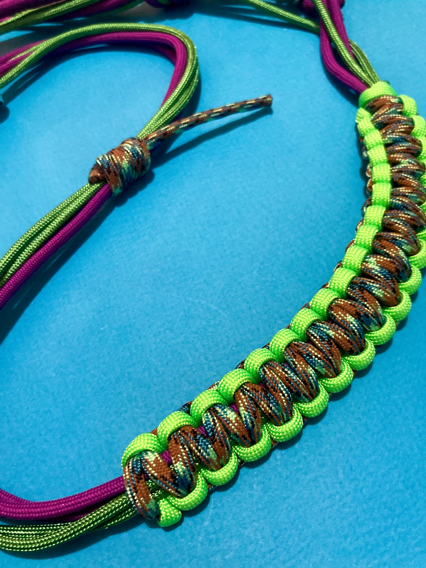 Caméléon SPECIAL PROMO 🦎